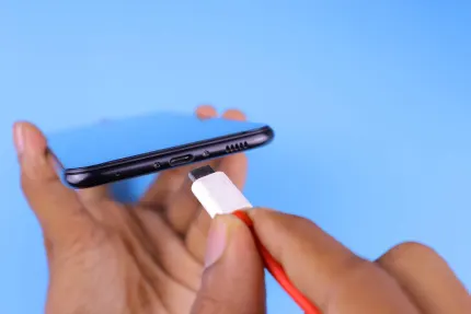 Kasyno Mobile Wins Aplikacja mobilna